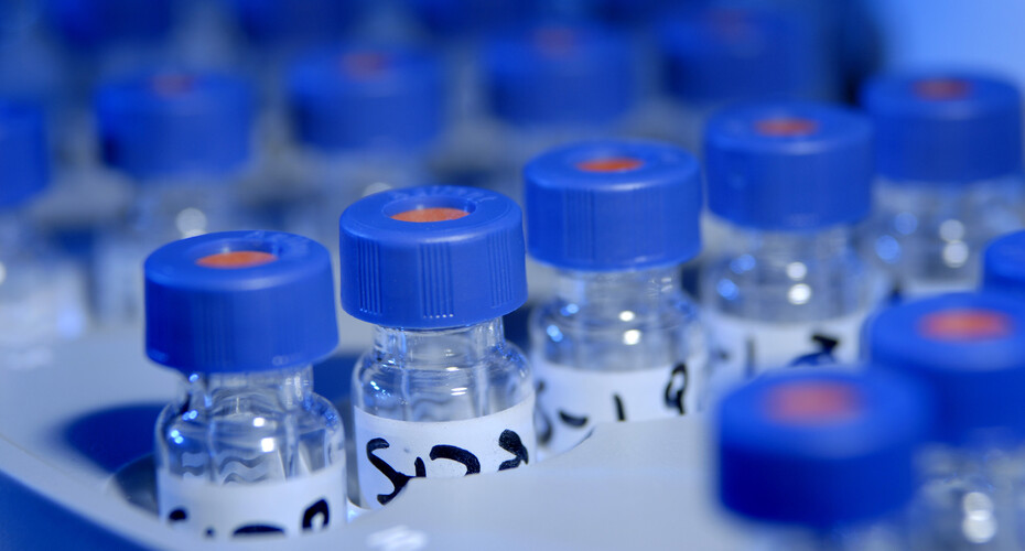 Rows of labelled sample pots with blue lids