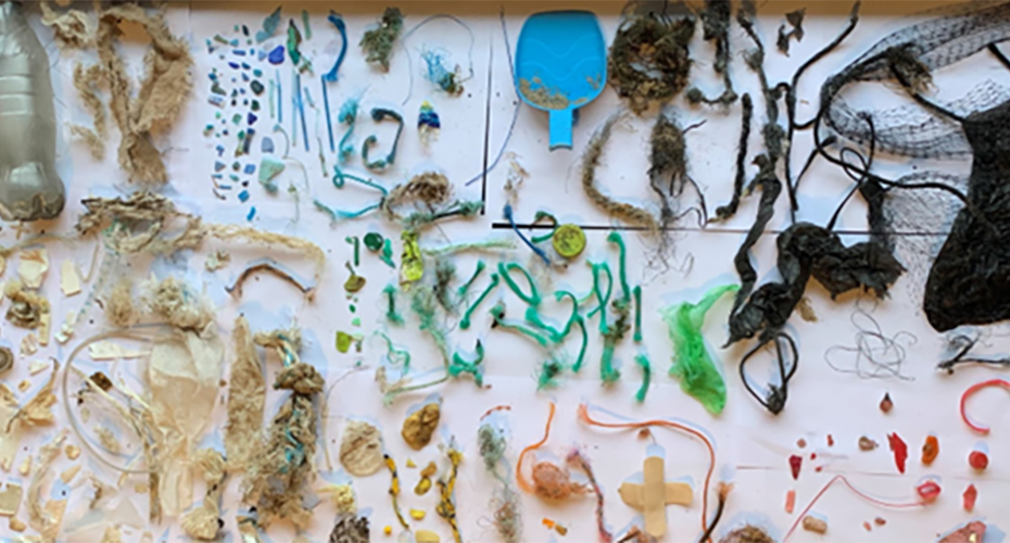 Plastic pollutants from the sea