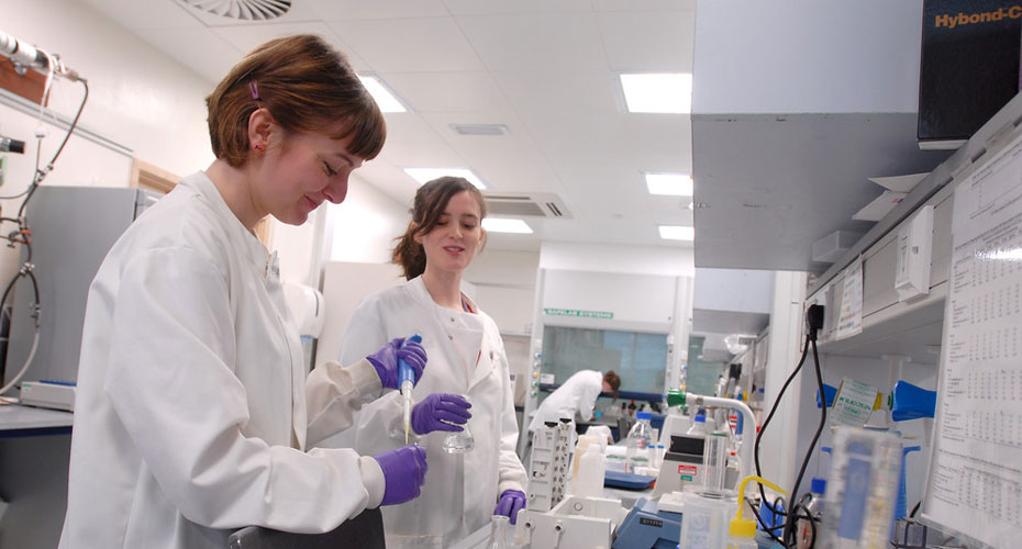 Two postdoctoral students smiling and helping each other with an experiment in the lab