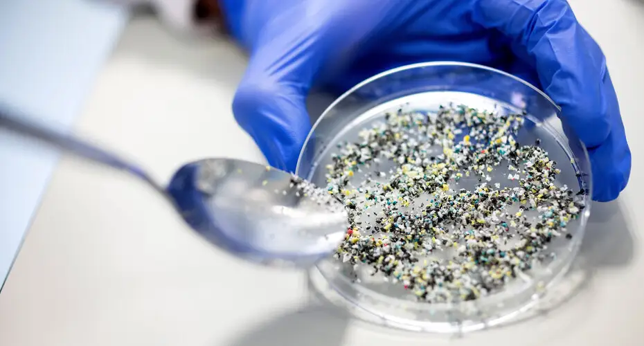 Close up on a petri dish and spoon containing a crushed sample