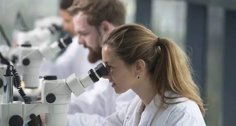 Three students wearing labcoats, sitting in a row using microscopes